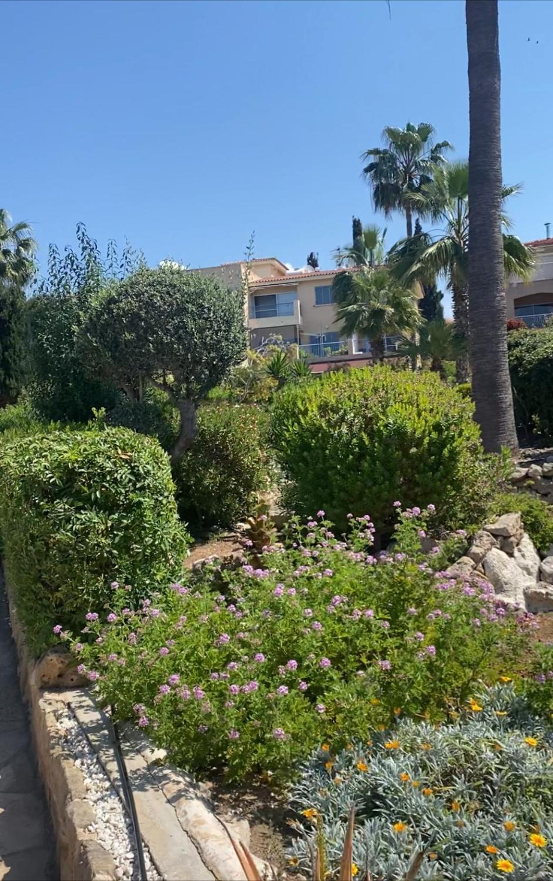 Newly Renovated- Regina Gardens 1, Venus Beach 500 M, Sea&Sunsets View, License Ooo7141 Paphos Exterior foto