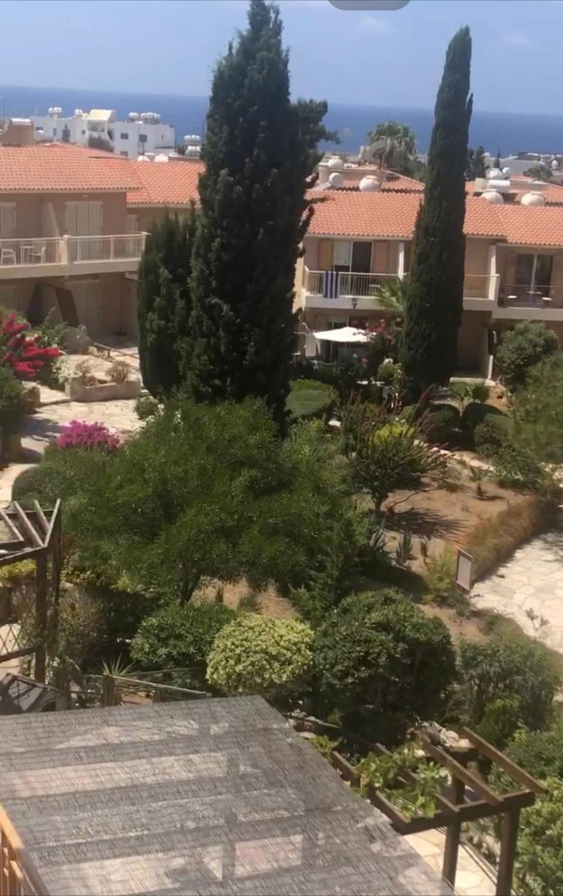 Newly Renovated- Regina Gardens 1, Venus Beach 500 M, Sea&Sunsets View, License Ooo7141 Paphos Exterior foto